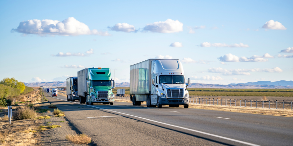 New Nevada Bypasses Open